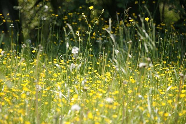 Best Foods To Fight Seasonal Allergies